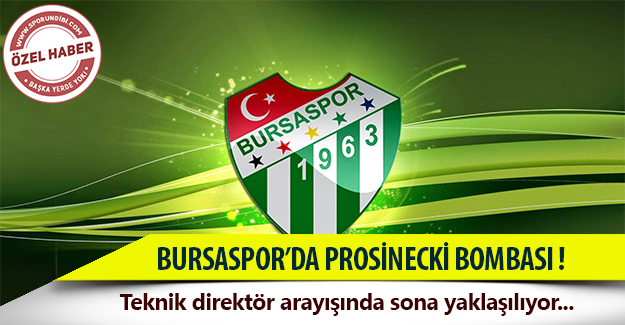 Prosinecki Bursaspor'a doğru