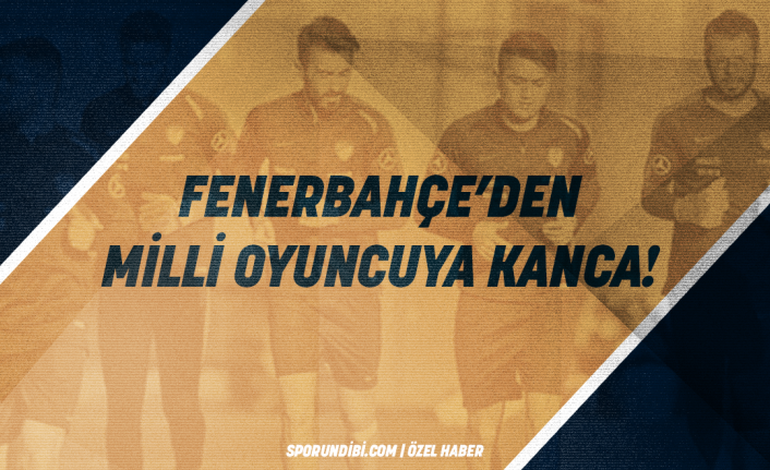 Fenerbahçe'den Mahmut Tekdemir'e kanca