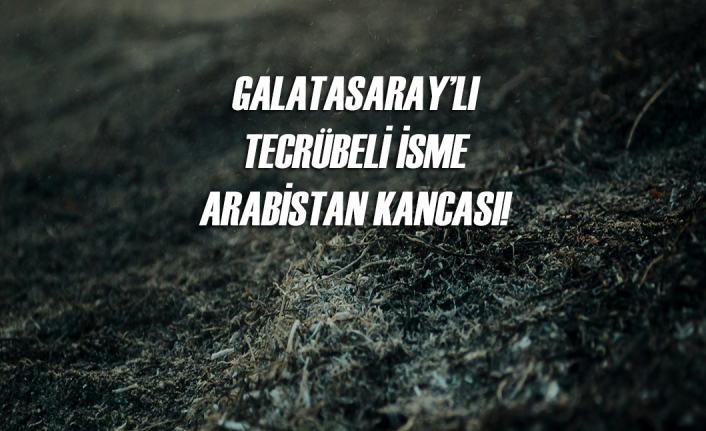 Galatasaray'lı Donk'a Al Nasr kancası!