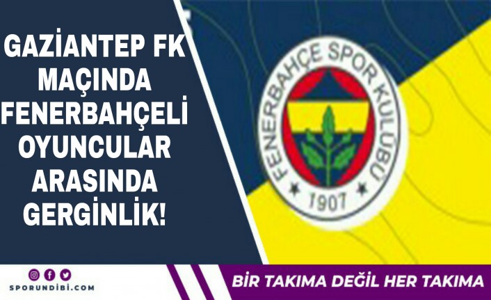 Gaziantep FK maçında Fenerbahçeli oyuncular arasında gerginlik!