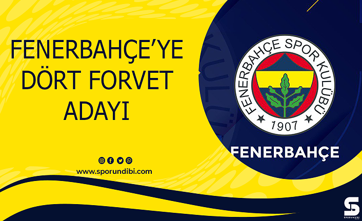 Fenerbahçe'ye dört forvet adayı
