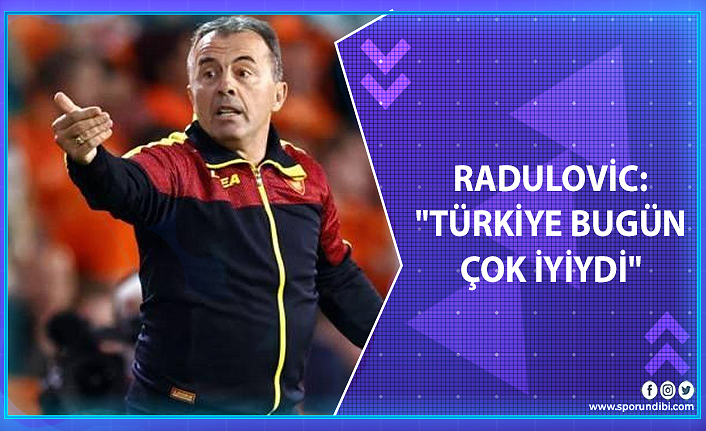 Radulovic: "Türkiye bugün çok iyiydi"