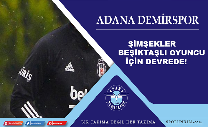Adana Demirspor, Beşiktaşlı oyuncu için devrede!