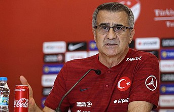 Şenol Güneş'ten Fenerbahçe Yorumu