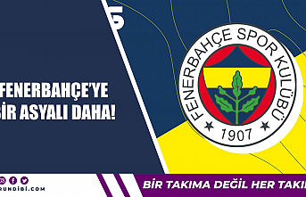 Fenerbahçe'ye bir Asyalı daha!