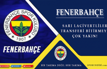 Fenerbahçe transferi bitirmeye çok yakın!